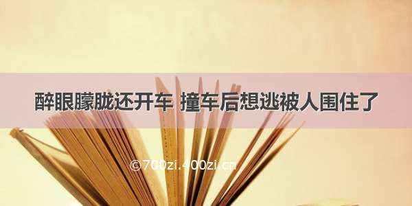 醉眼朦胧还开车 撞车后想逃被人围住了