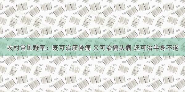 农村常见野草：既可治筋骨痛 又可治偏头痛 还可治半身不遂