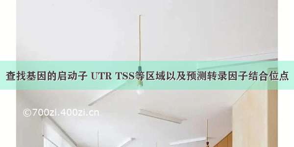 查找基因的启动子 UTR TSS等区域以及预测转录因子结合位点