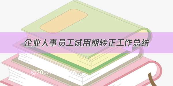 企业人事员工试用期转正工作总结