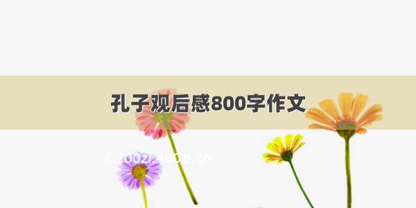 孔子观后感800字作文