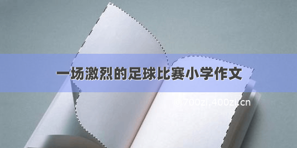 一场激烈的足球比赛小学作文