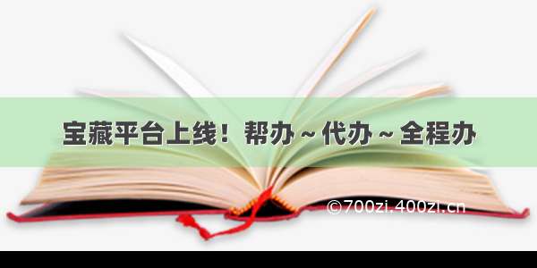 宝藏平台上线！帮办～代办～全程办