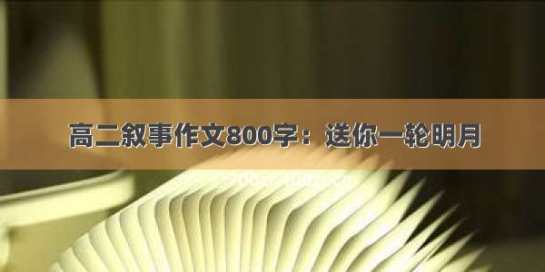 高二叙事作文800字：送你一轮明月