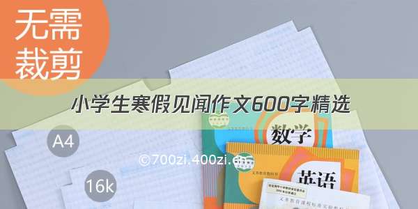 小学生寒假见闻作文600字精选