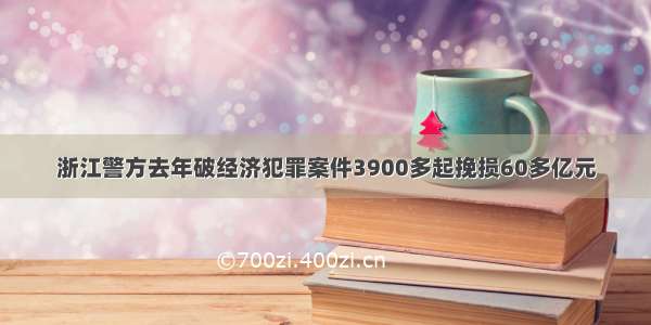 浙江警方去年破经济犯罪案件3900多起挽损60多亿元