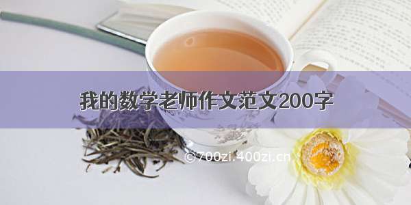 我的数学老师作文范文200字