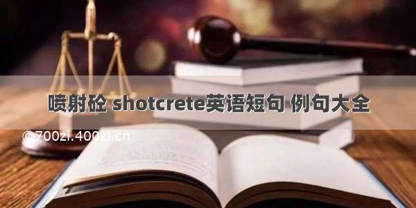 喷射砼 shotcrete英语短句 例句大全