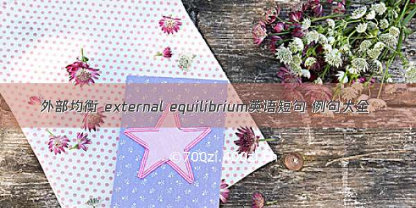 外部均衡 external equilibrium英语短句 例句大全