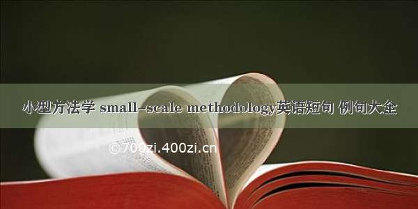 小型方法学 small-scale methodology英语短句 例句大全