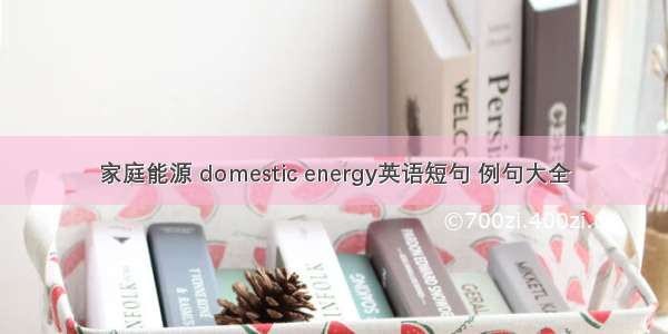 家庭能源 domestic energy英语短句 例句大全