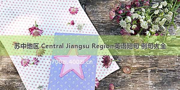 苏中地区 Central Jiangsu Region英语短句 例句大全