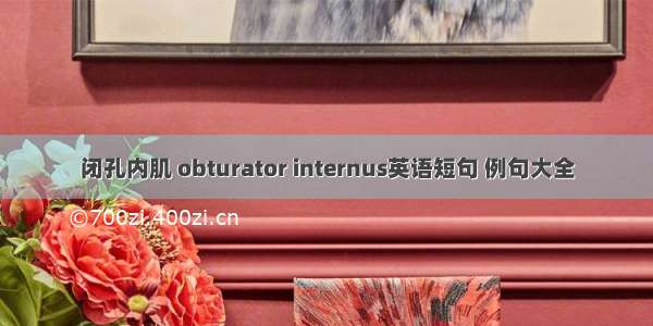 闭孔内肌 obturator internus英语短句 例句大全