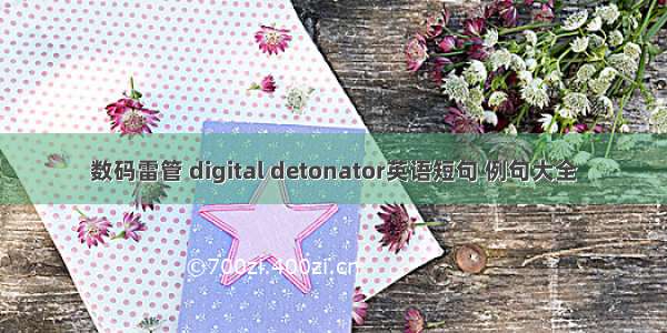 数码雷管 digital detonator英语短句 例句大全