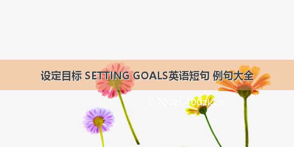 设定目标 SETTING GOALS英语短句 例句大全