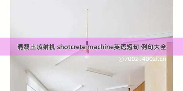 混凝土喷射机 shotcrete machine英语短句 例句大全