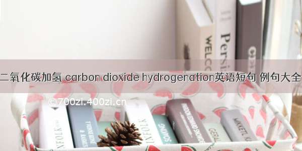 二氧化碳加氢 carbon dioxide hydrogenation英语短句 例句大全