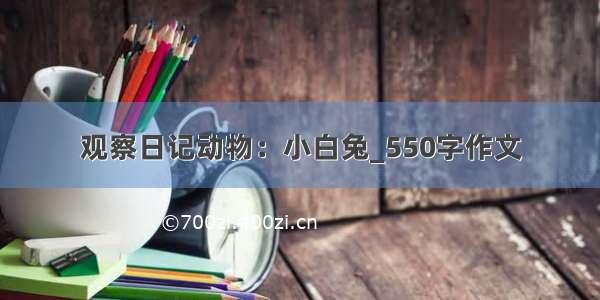 观察日记动物：小白兔_550字作文