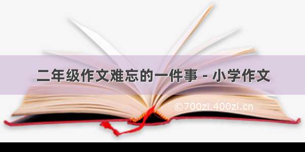 二年级作文难忘的一件事 - 小学作文