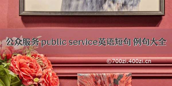 公众服务 public service英语短句 例句大全