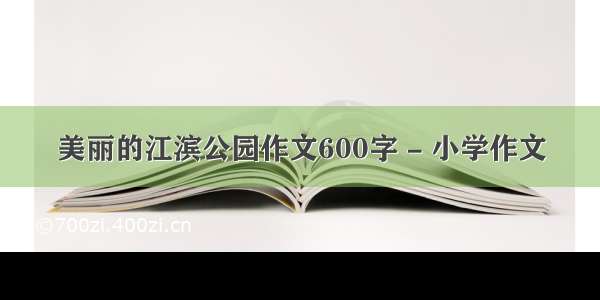 美丽的江滨公园作文600字 - 小学作文