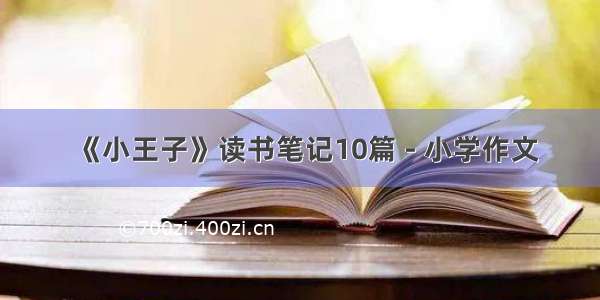 《小王子》读书笔记10篇 - 小学作文