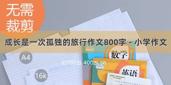 成长是一次孤独的旅行作文800字 - 小学作文