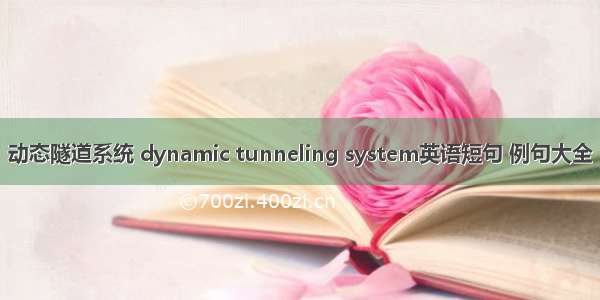 动态隧道系统 dynamic tunneling system英语短句 例句大全