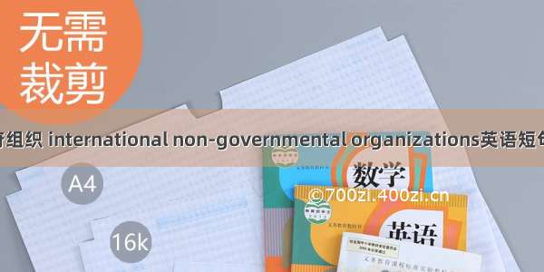 国际非政府组织 international non-governmental organizations英语短句 例句大全