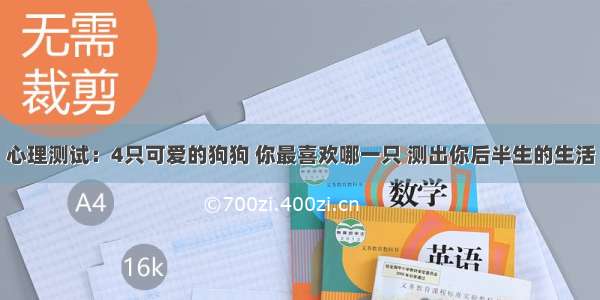 心理测试：4只可爱的狗狗 你最喜欢哪一只 测出你后半生的生活