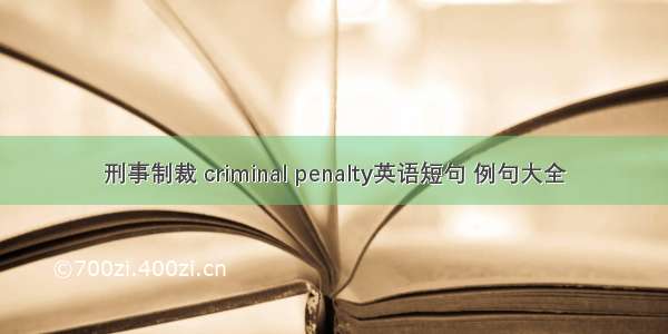 刑事制裁 criminal penalty英语短句 例句大全