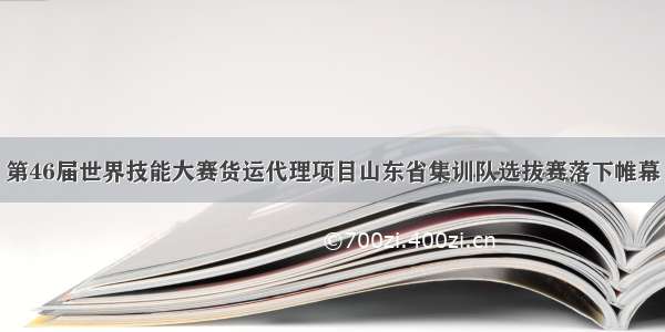 第46届世界技能大赛货运代理项目山东省集训队选拔赛落下帷幕