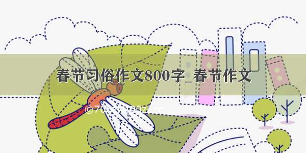 春节习俗作文800字_春节作文