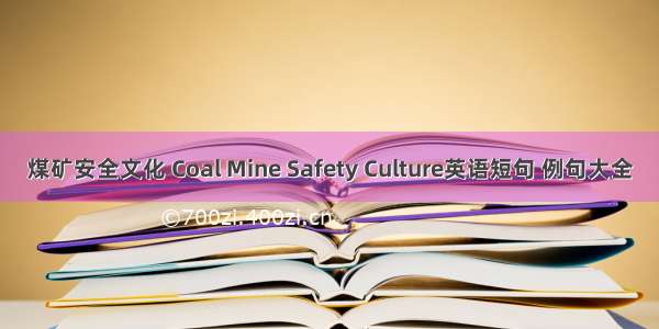 煤矿安全文化 Coal Mine Safety Culture英语短句 例句大全