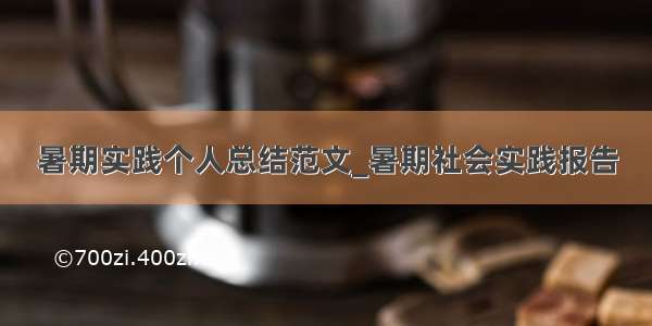 暑期实践个人总结范文_暑期社会实践报告