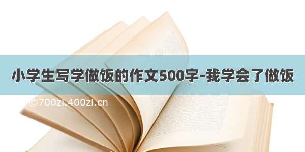 小学生写学做饭的作文500字-我学会了做饭