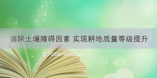 消除土壤障碍因素 实现耕地质量等级提升