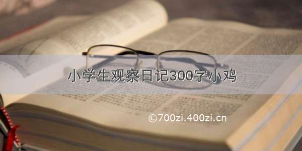 小学生观察日记300字小鸡