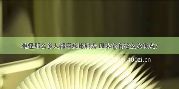 难怪那么多人都喜欢比熊犬 原来它有这么多优点？