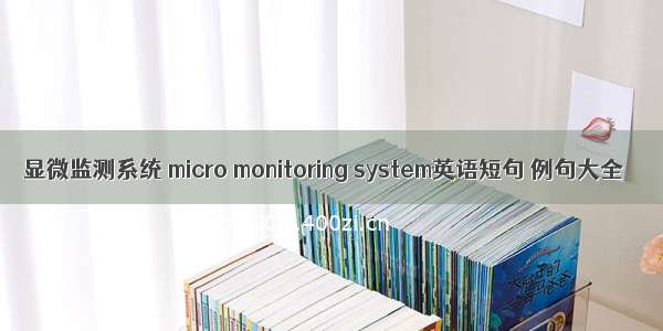 显微监测系统 micro monitoring system英语短句 例句大全