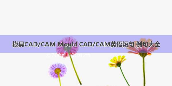 模具CAD/CAM Mould CAD/CAM英语短句 例句大全