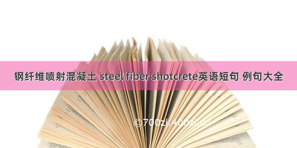 钢纤维喷射混凝土 steel fiber shotcrete英语短句 例句大全