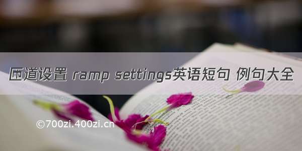 匝道设置 ramp settings英语短句 例句大全