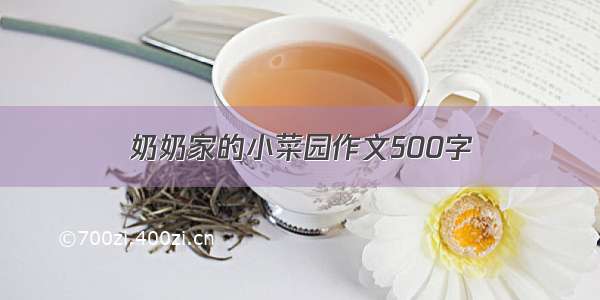 奶奶家的小菜园作文500字