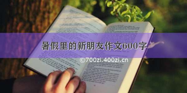 暑假里的新朋友作文600字