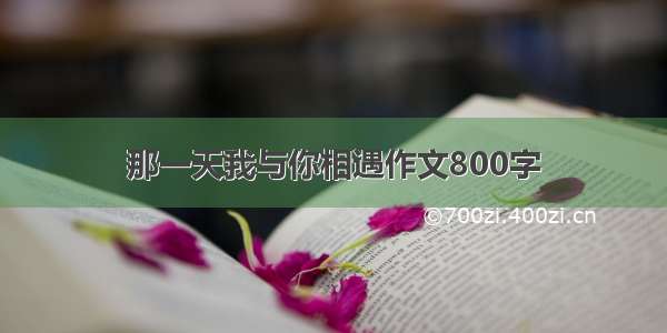 那一天我与你相遇作文800字