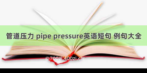 管道压力 pipe pressure英语短句 例句大全