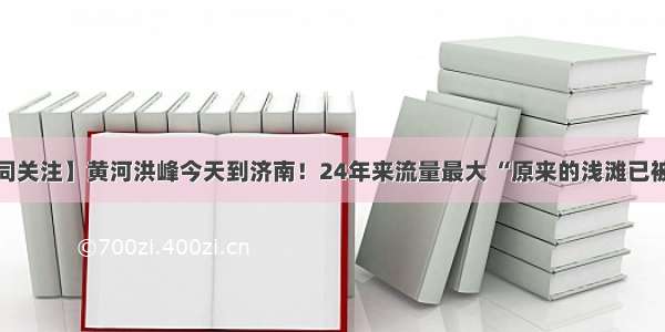 【共同关注】黄河洪峰今天到济南！24年来流量最大 “原来的浅滩已被淹没”