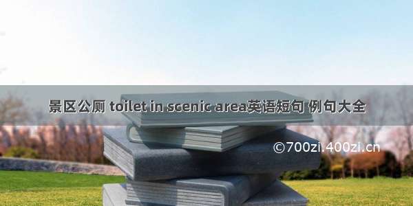 景区公厕 toilet in scenic area英语短句 例句大全
