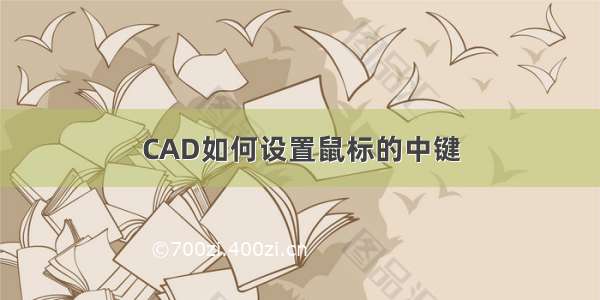 CAD如何设置鼠标的中键